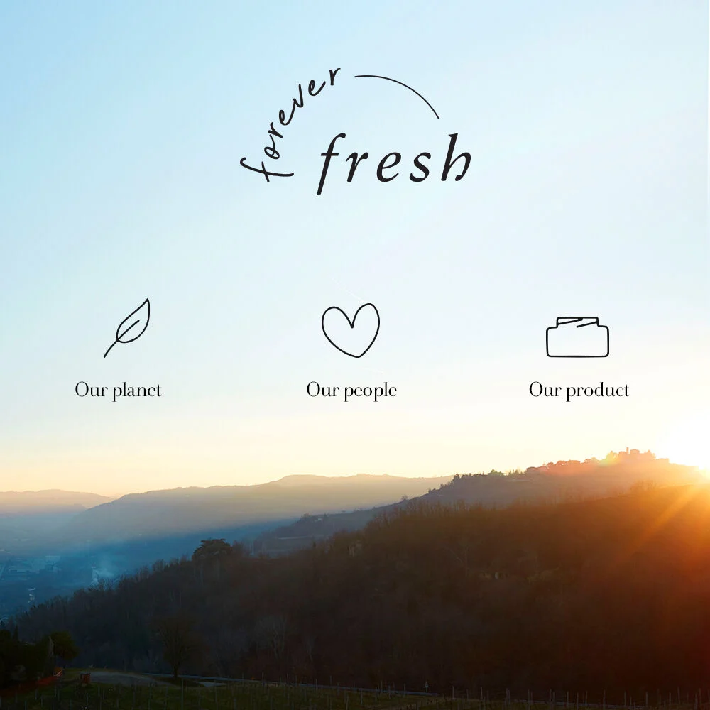 Fresh: Unveiling the Ultimate Guide to Revitalize Your Daily Routine