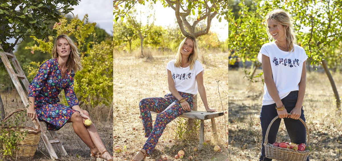 A Deep Dive into the Innovative World of Damart