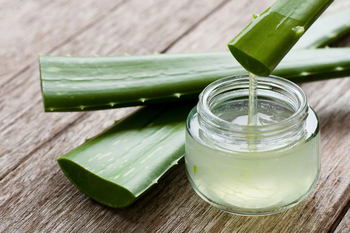 The Truth: Do Dermatologists Recommend Aloe Vera for Dry Skin?